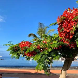 Casa Antonio - Luna , Playa de San Juan (Tenerife) España
